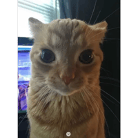 sticker image #17