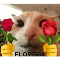 sticker image #7