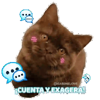 sticker image #13