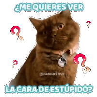 sticker image #15