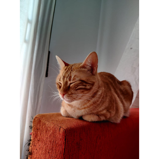 tray_icon #10005 sticker_pack