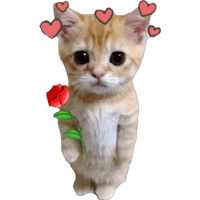 sticker image #17