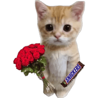 sticker image #15