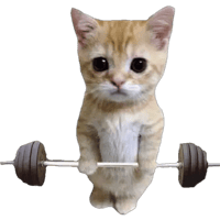 sticker image #7