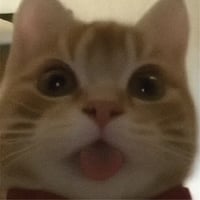 sticker image #11