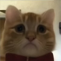 sticker image #17