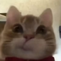 tray_icon