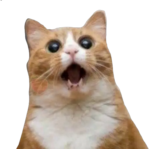 Sticker Maker Gatitos