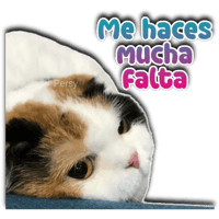 sticker image #13