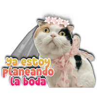 sticker image #14