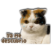 sticker image #22