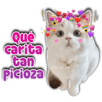 sticker image #25