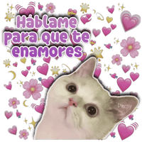 sticker image #26