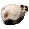 tray_icon