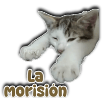 sticker image #23