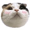 tray_icon #119964 sticker_pack