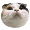 tray_icon #119964 sticker_pack