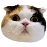 tray_icon #119962 sticker_pack