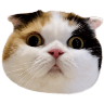 tray_icon #119962 sticker_pack