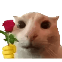 sticker image #28