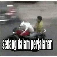 sticker image #20