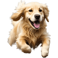 sticker image #13