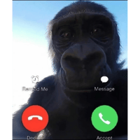 sticker image #11