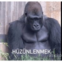 sticker image #10