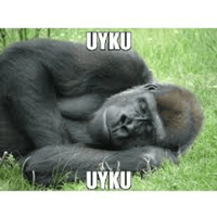 sticker image #13