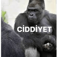 sticker image #14