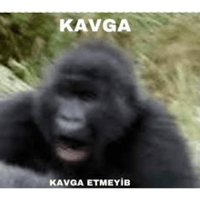 sticker image #4