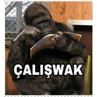 sticker image #7