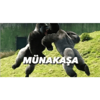 sticker image #1