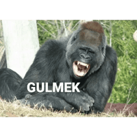 sticker image #12