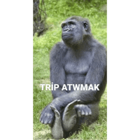 sticker image #14