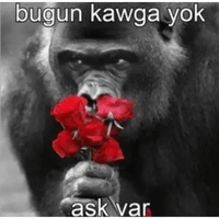 sticker image #18