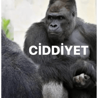 sticker image #2