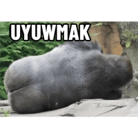 sticker image #20