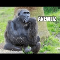 sticker image #21