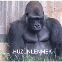 sticker image #24