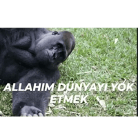sticker image #25