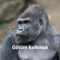sticker image #26
