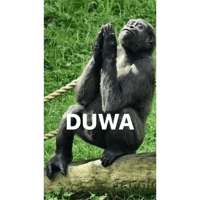 sticker image #3
