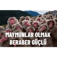 sticker image #30