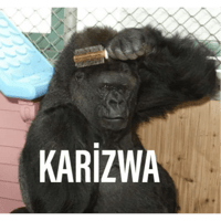 sticker image #7