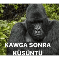 sticker image #9