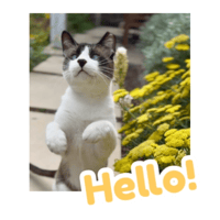 sticker image #1