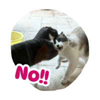 sticker image #11