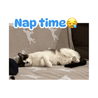 sticker image #13