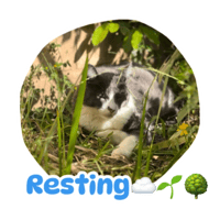 sticker image #15